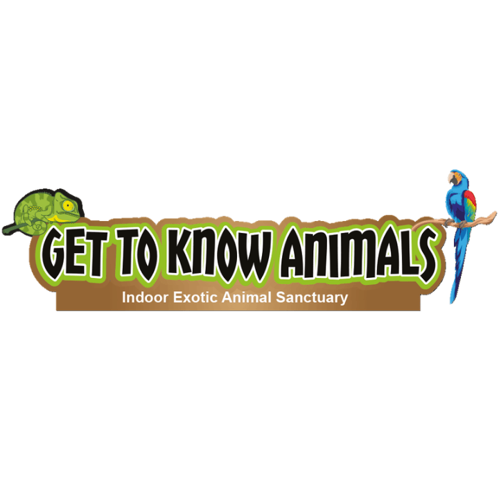 Get to know animals CIC
