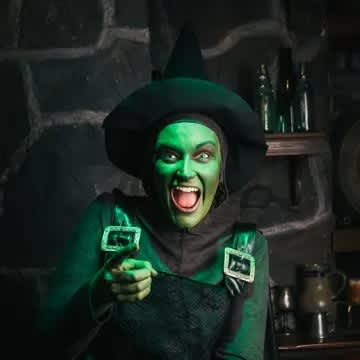 Shrek's Adventure London Tickets