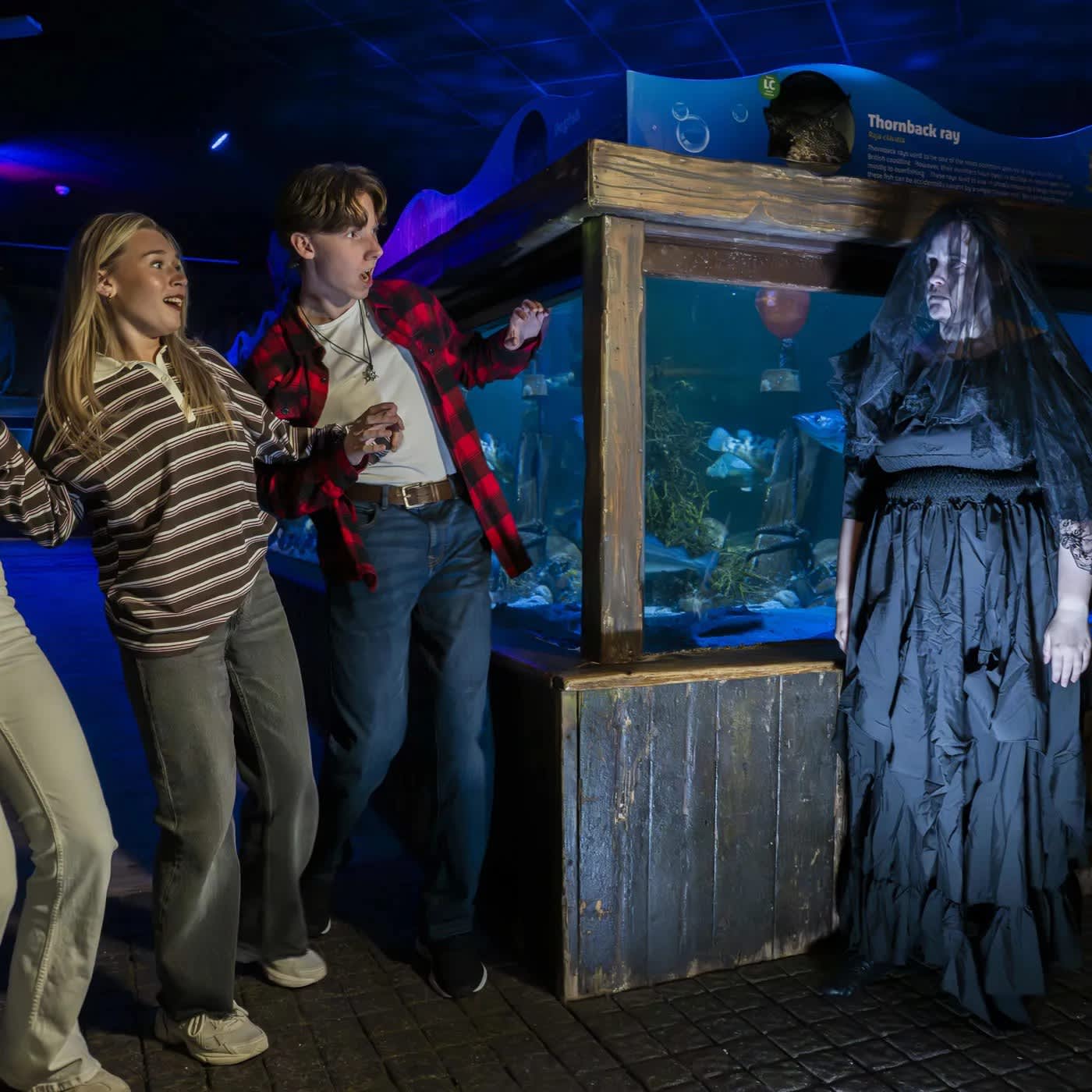 SEA LIFE Loch Lomond Aquarium Tickets