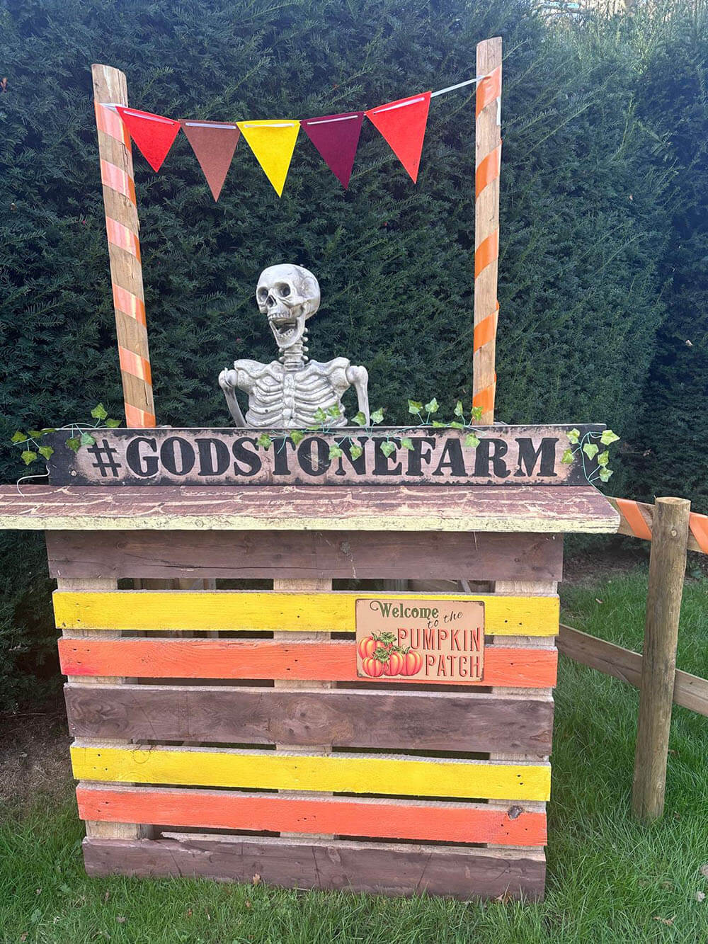 Godstone Farm Tickets