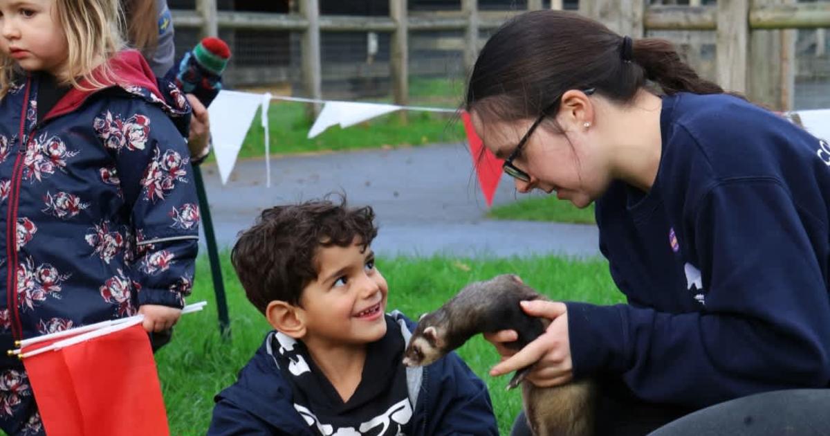 Hallo'Welly'Ween at Wellington Country Park