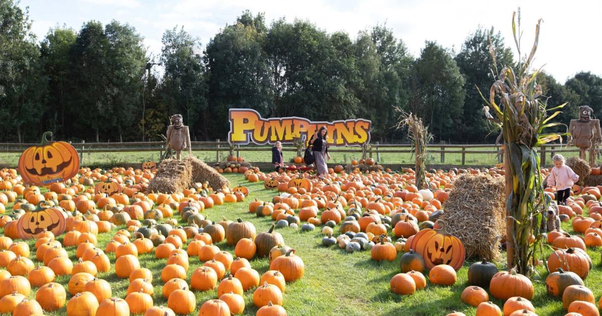 Twinlakes Family Scream Park
