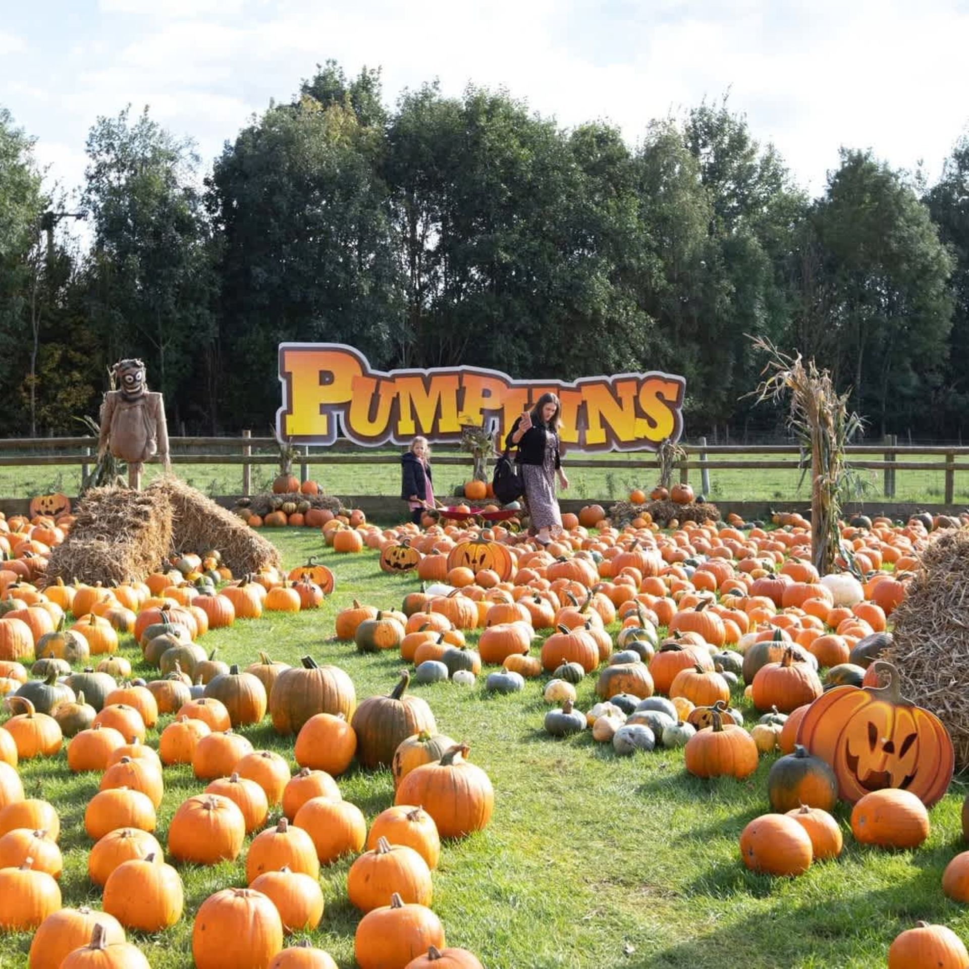 Twinlakes Family Scream Park