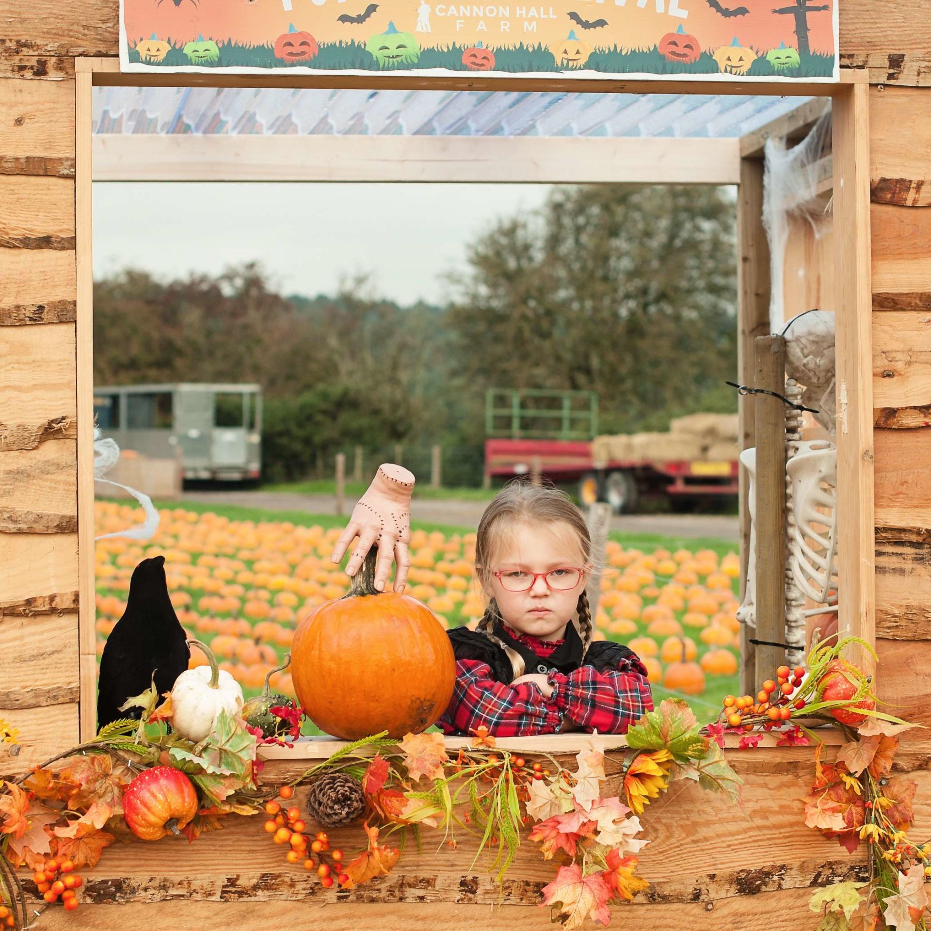 Pumpkin Picking at Cannon Hall Farm