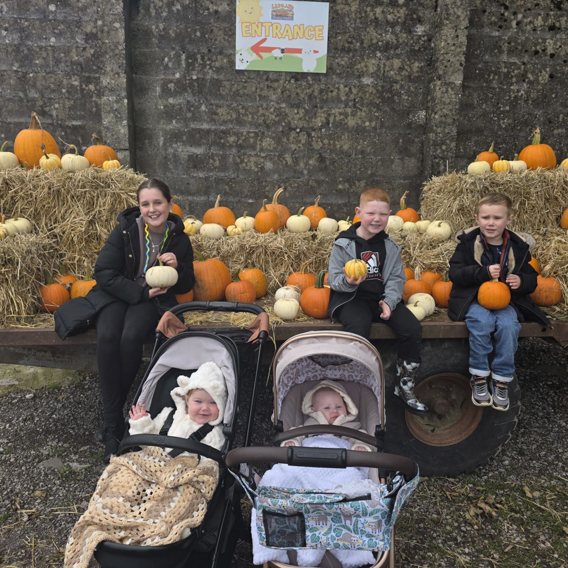 Pumpkin Picking at Lakeland Maze Farm Park