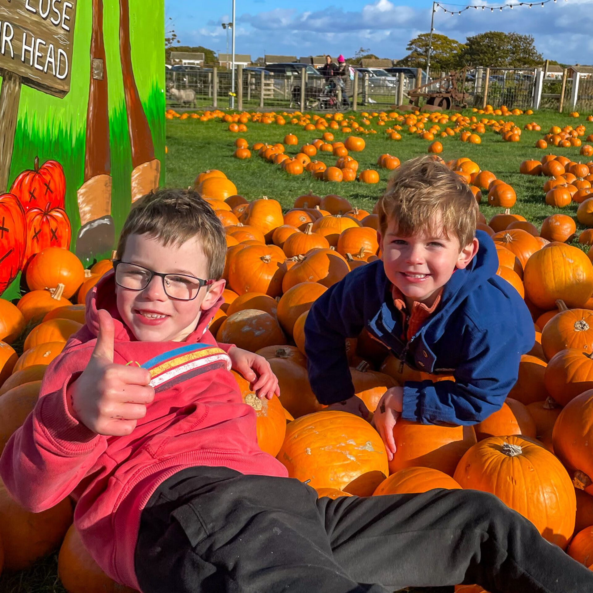 Pumpkin Fest at Manorafon Farm Park