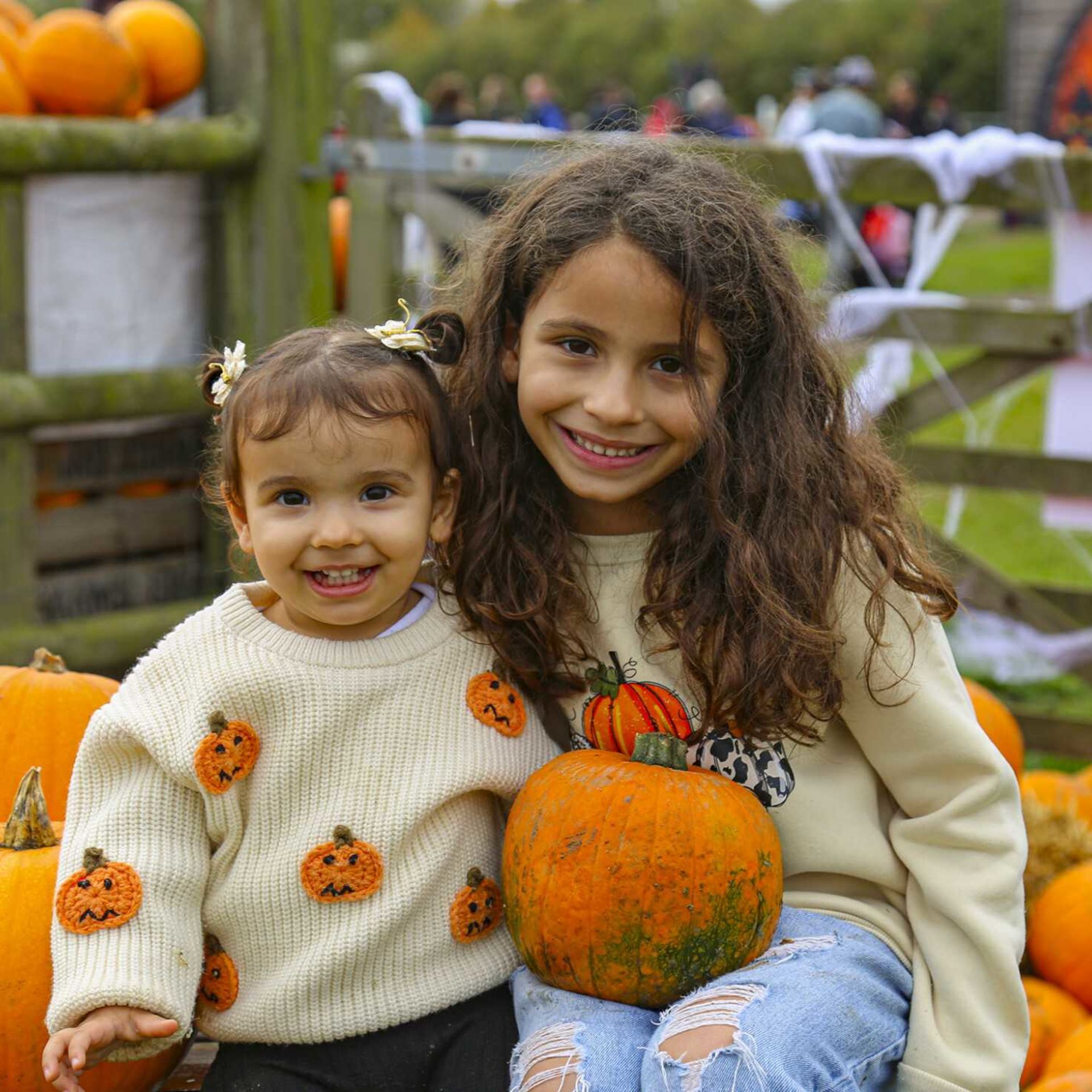 Pumpkin Picking at Barleylands Farm Park
