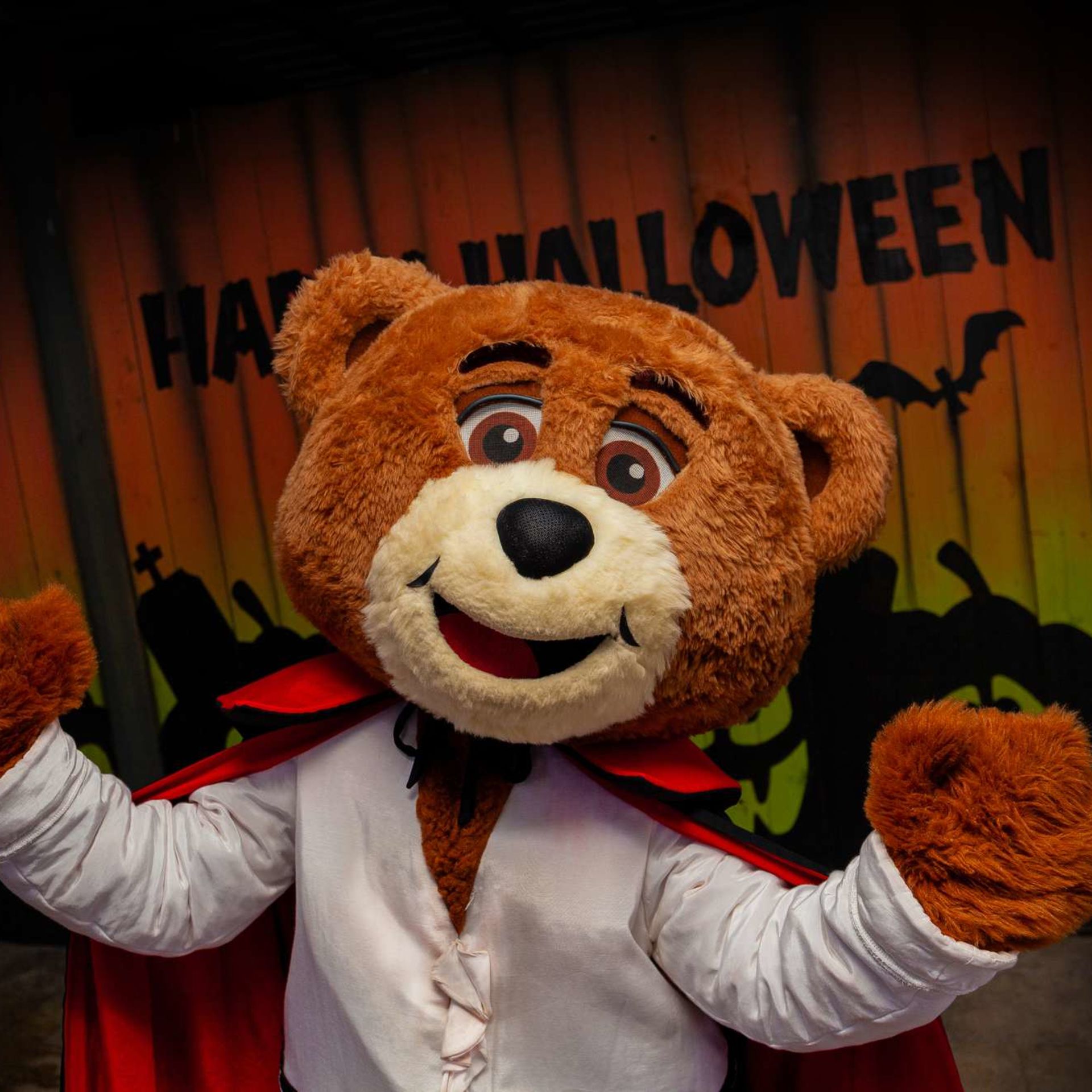 Spook-Fest and Pumpkin Picking at Crealy