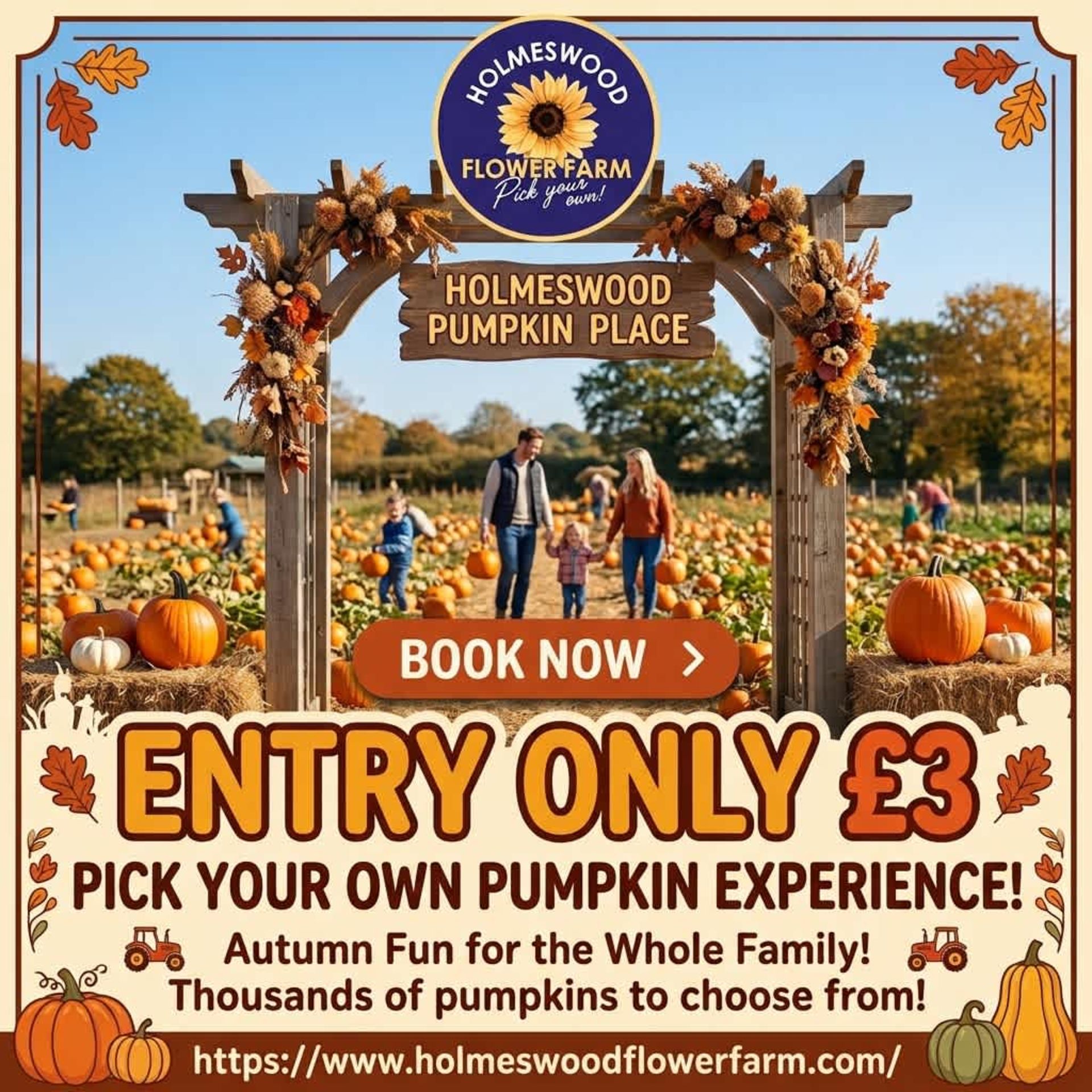 Pumpkin Picking at Holmeswood Flower Farm