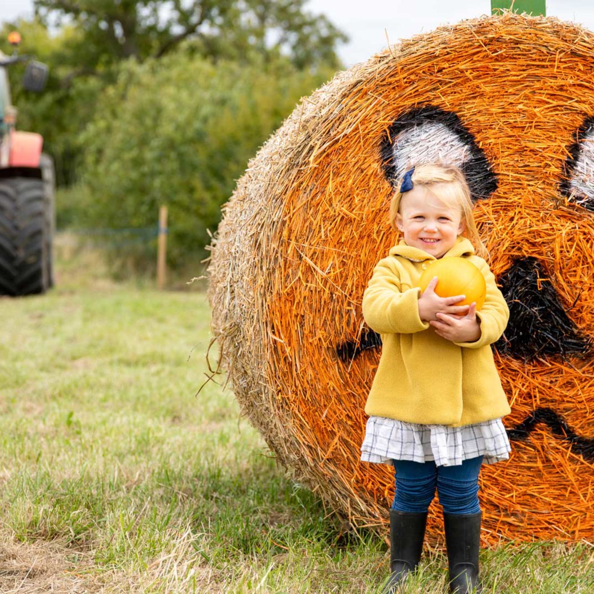 Pumpkin Picking at Lillingstone Pick Your Own