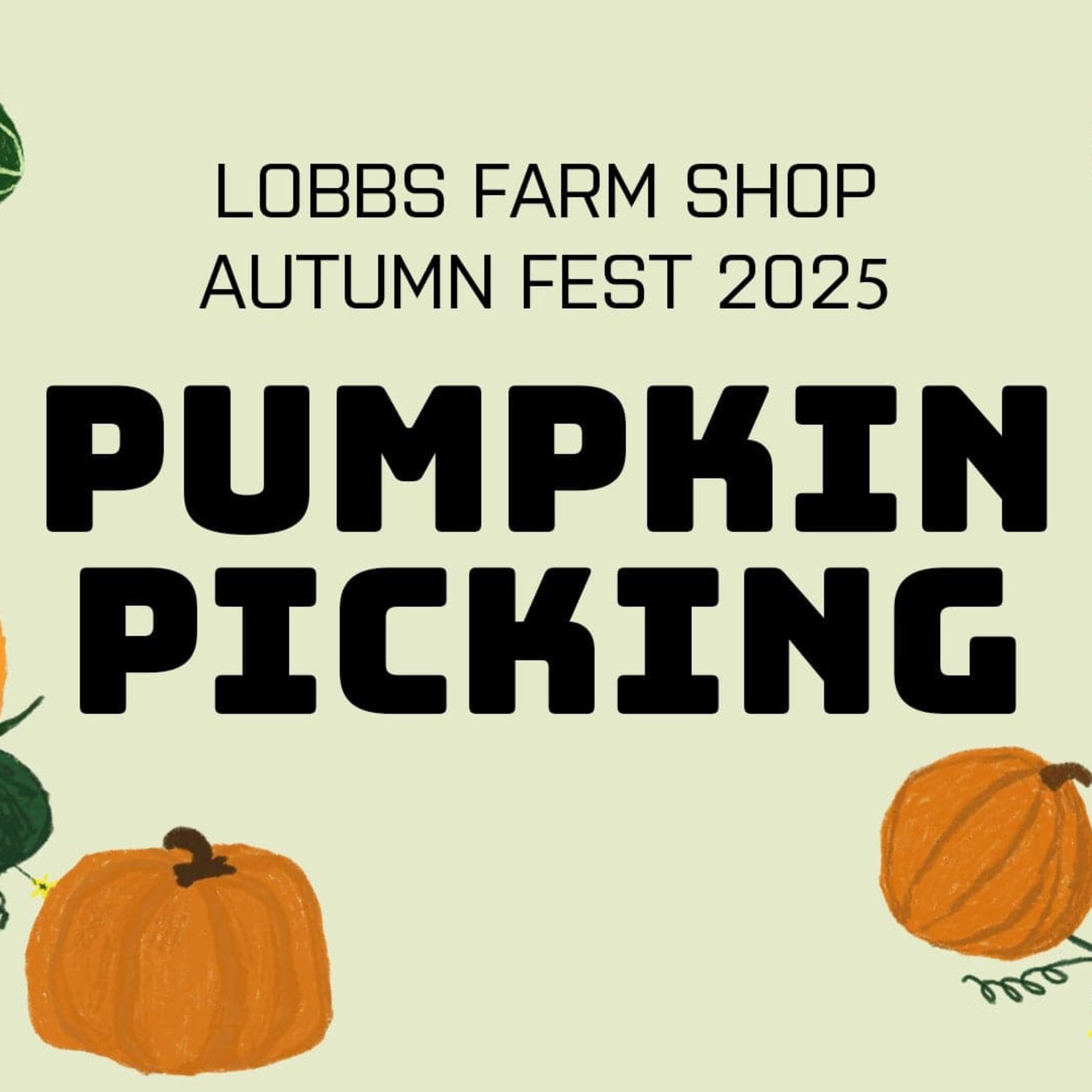 Pumpkin Picking at Lobbs Farm Shop