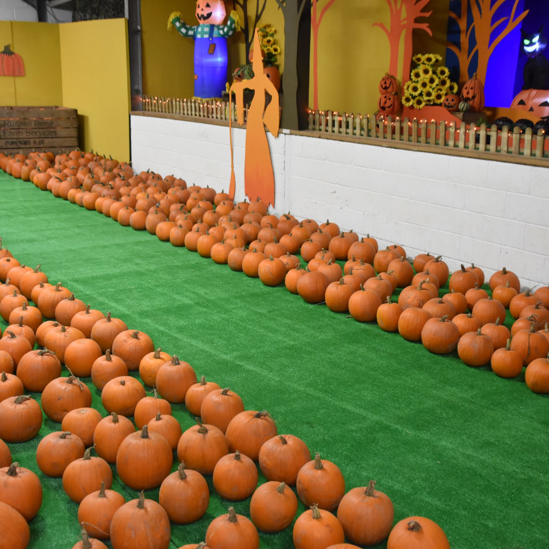 Pumpkinfest at Park Hall Countryside Experience