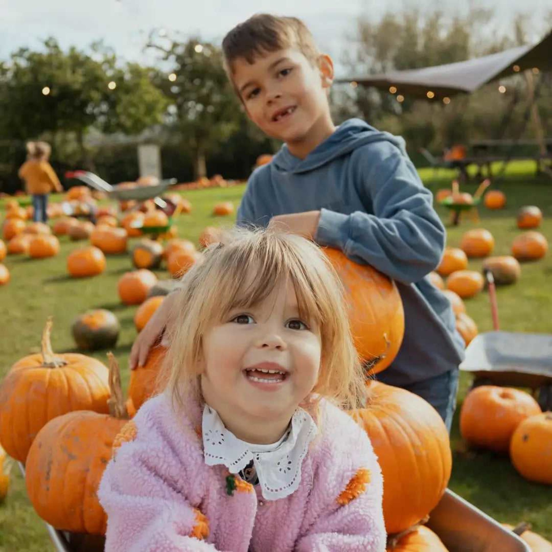 Pumpkin Festival at Pennywell Farm