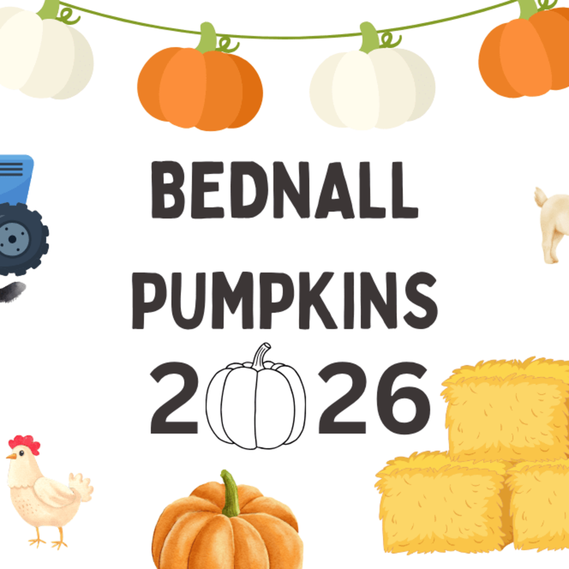 Pumpkin Picking at Bednall, near Stafford
