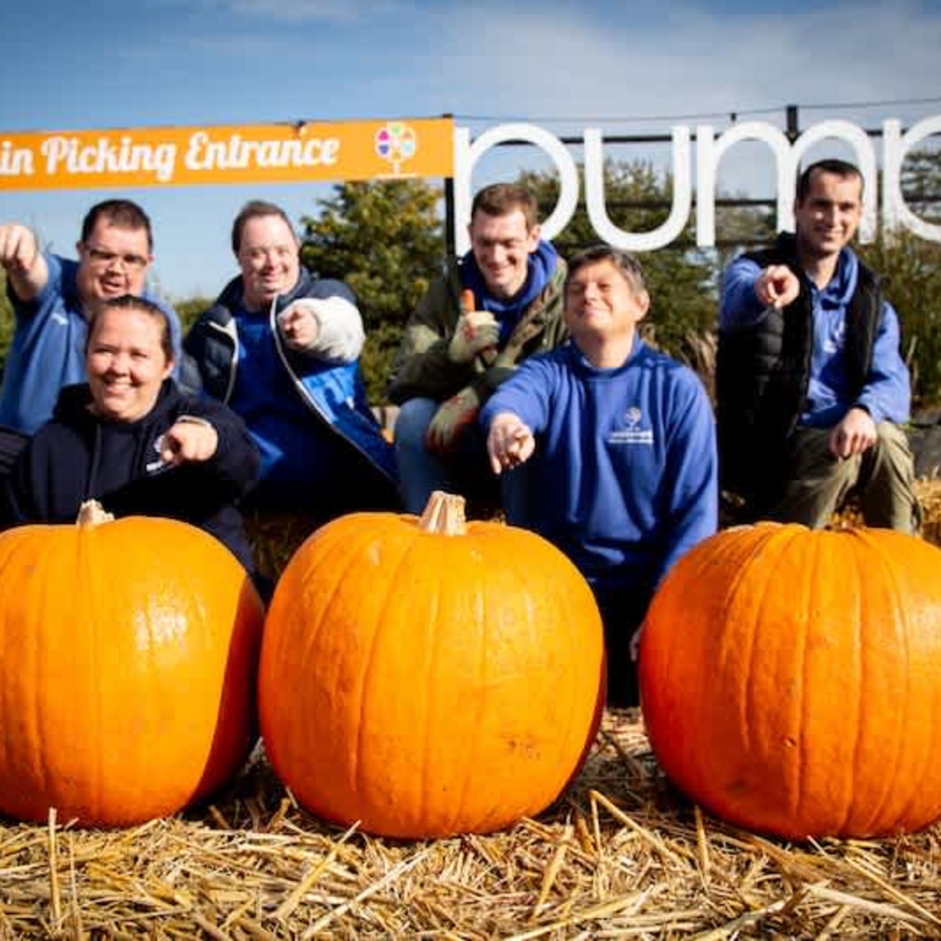 Pumpkin Picking at Spadework