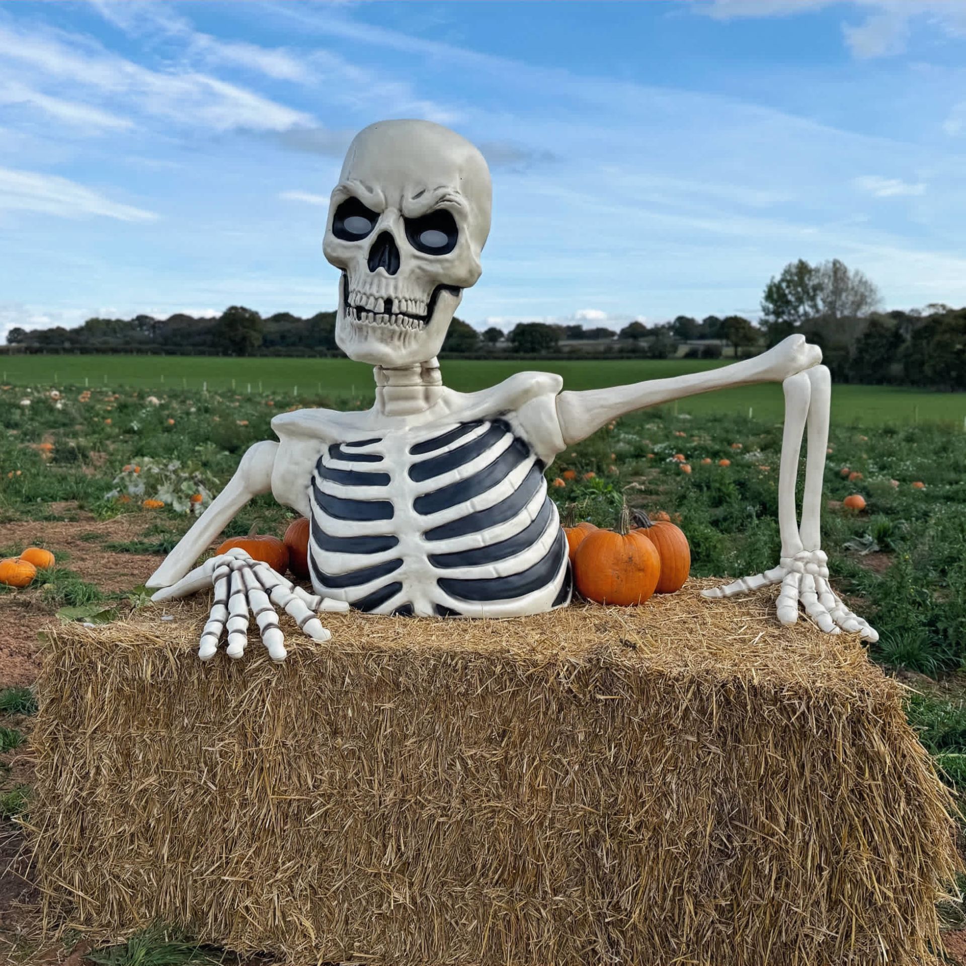 Pumpkin Picking at The Barn At Berryfields